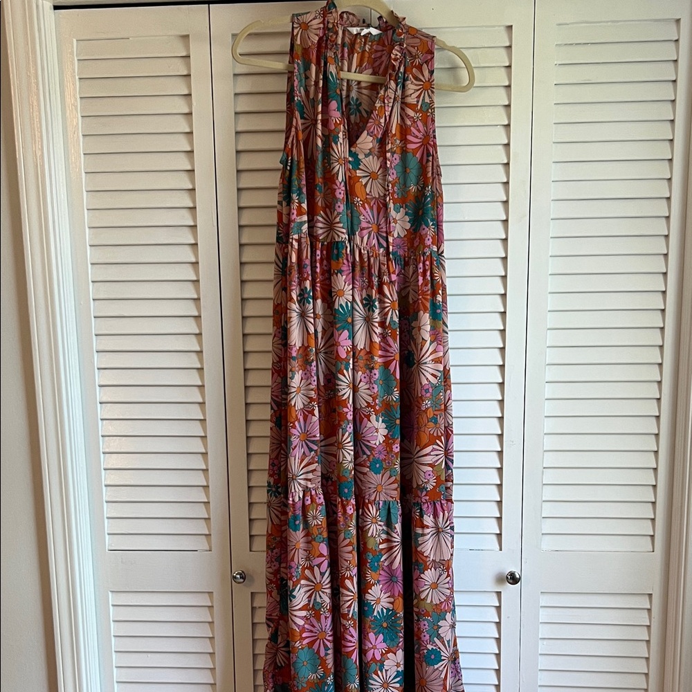 Tuckernuck BB Dakota Floral V-Neck Maxi Dress in Rust and Pink